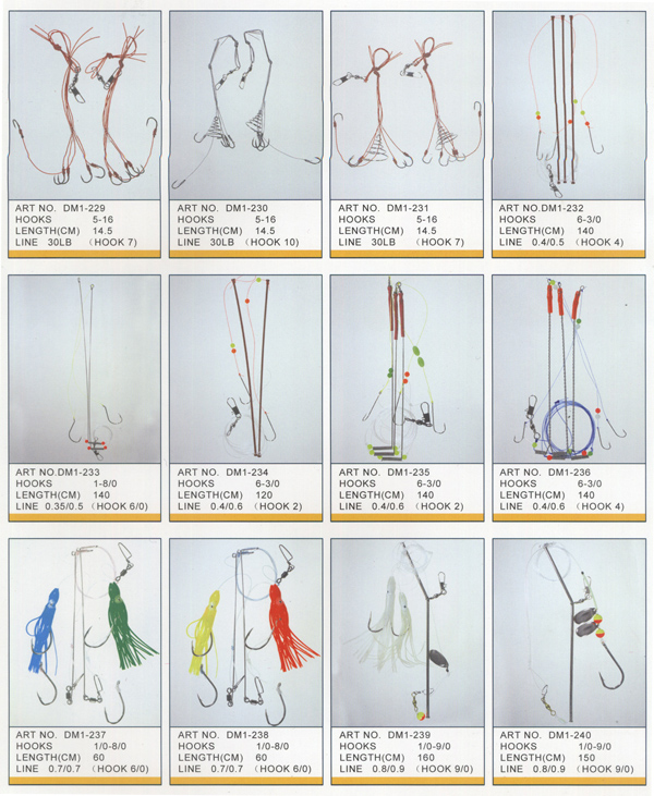 DM1-229 TO DM1-240