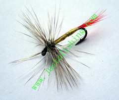 Flying insect 141