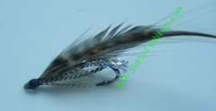 Flying insect f250