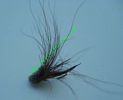 Flying insect f254