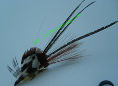 Flying insect f268