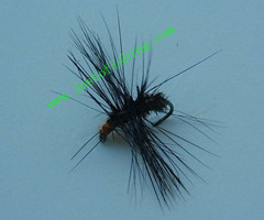 Flying insect f273