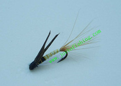 Flying insect f284