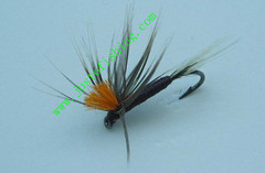 Flying insect f293