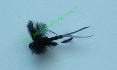 Flying insect f299
