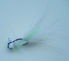Flying insect f311