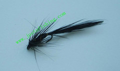 Flying insect f301