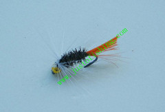 Flying insect f317