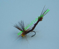 Flying insect f319