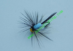 Flying insect f320