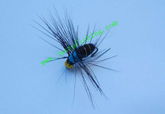 Flying insect f323