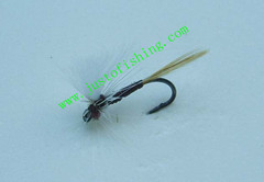 Flying insect f304