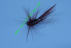Flying insect f335