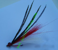 Flying insect f336
