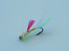 Flying insect f307