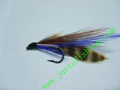 Flying insect f343