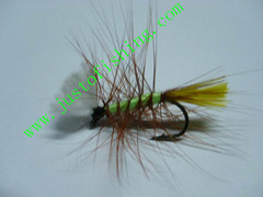 Flying insect f344