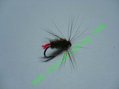 Flying insect f345
