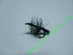 Flying insect f346