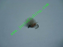 Flying insect f352