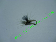 Flying insect f368