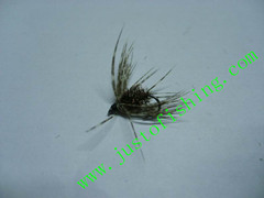 Flying insect f371
