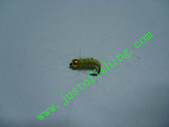 Flying insect f364