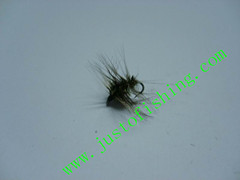 Flying insect f397