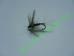 Flying insect f398