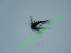 Flying insect f399