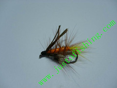 Flying insect f422