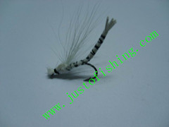 Flying insect f425