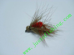 Flying insect f427