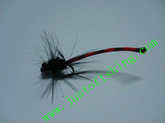 Flying insect f431