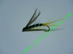 Flying insect f435