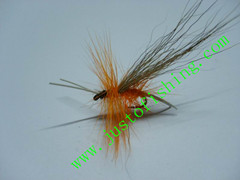 Flying insect f444