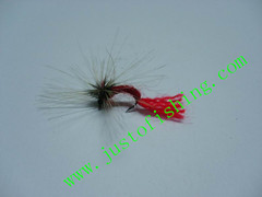 Flying insect f447