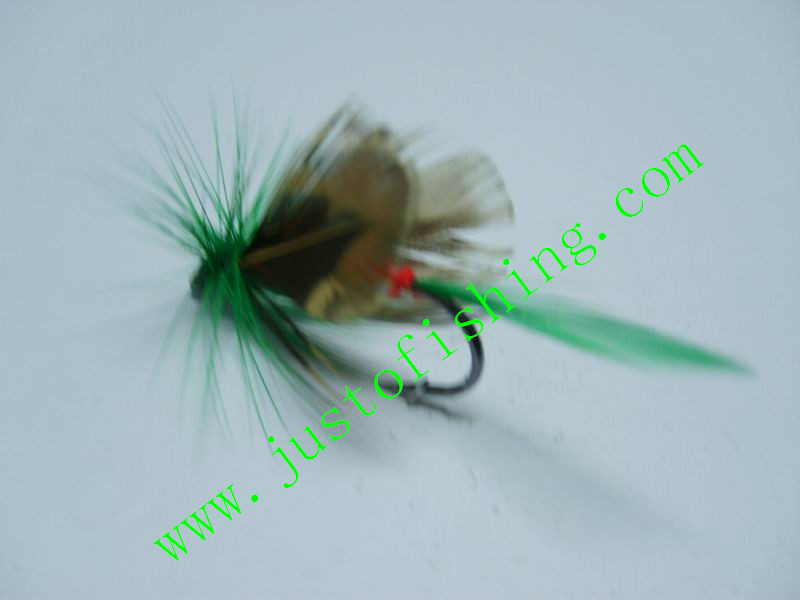 Flying insect f461