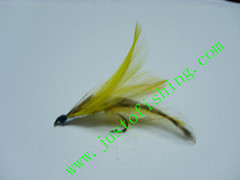 Flying insect f467