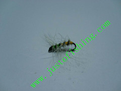 Flying insect f516