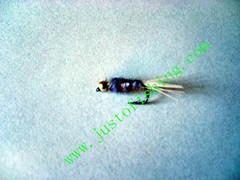Flying insect f523