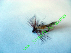 Flying insect f526