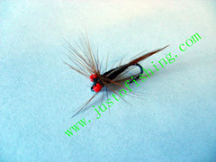 Flying insect f527
