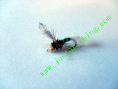 Flying insect f528