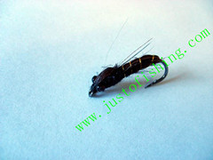 Flying insect f529