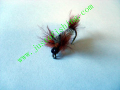 Flying insect f530