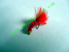 Flying insect f531