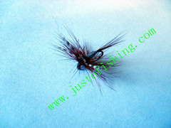 Flying insect f532