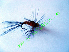 Flying insect f535