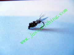 Flying insect f537